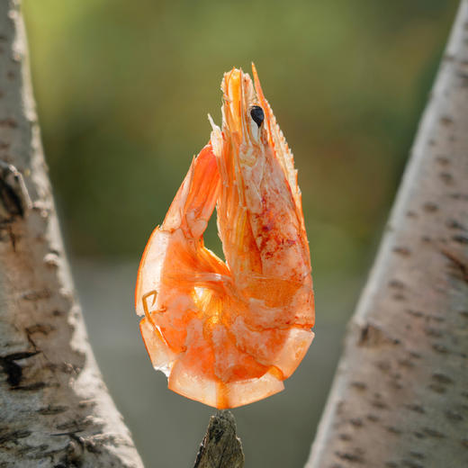 有机盐田虾礼盒（8份装） 商品图3