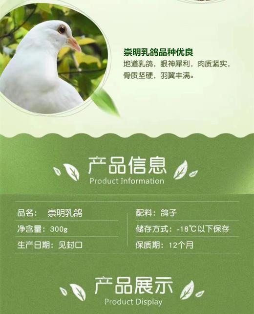 【东滩绿港】崇明乳鸽约0.3kg 净膛冰冻 商品图3