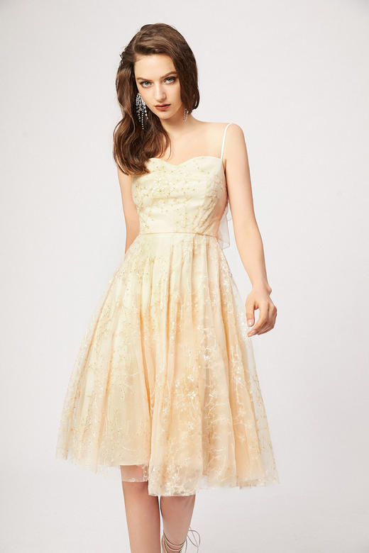 香槟色绣球花刺绣亮片露背网纱吊带裙 商品图1