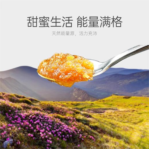 美和居雪脂莲蜜 商品图3