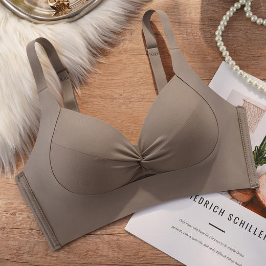 提拉聚拢一穿就挺小胸显大内衣上托聚拢收副乳调整型文胸罩流盈之蝶 商品图1