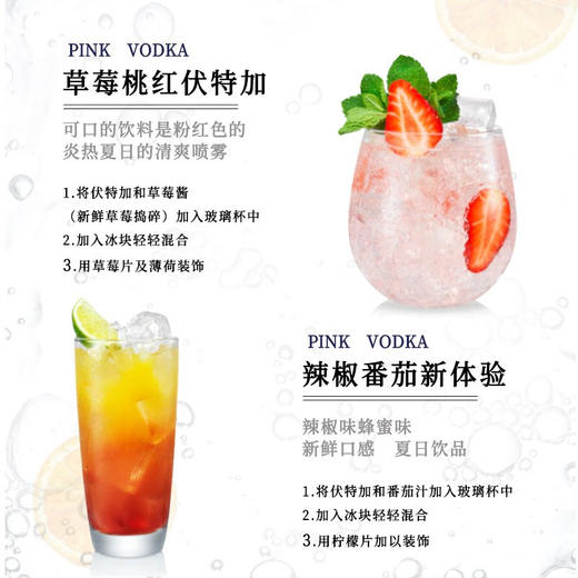 俄罗斯原瓶进口冰星雪原伏特加洋酒40%vol 商品图9