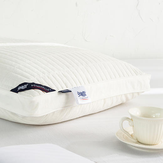 【春上新】10楼 安睡宝 纯荞麦壳复合超细纤维两用枕46*72*3cm 吊牌价699元/只 活动价179元/只 商品图4