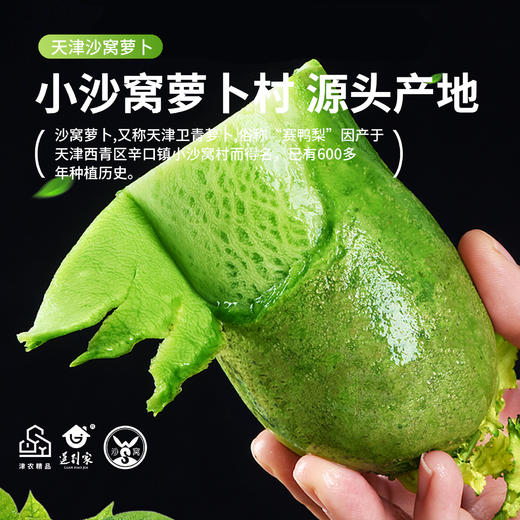 津农精品 莲到家 沙窝萝卜青皮萝卜冰淇淋萝卜双拼伴手礼礼盒 商品图5