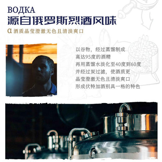 俄罗斯原瓶进口冰星雪原伏特加洋酒40%vol 商品图5