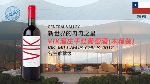 【智利】VIK酒庄干红葡萄酒2012年(木箱装) 商品图0
