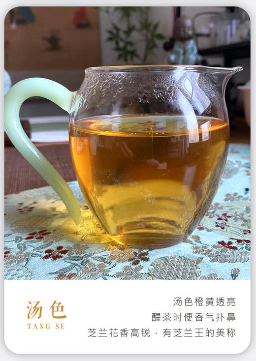 凤凰单枞 | 2024年春茶 宋茶荟 乌岽核心产区 竹叶香100g 商品图3