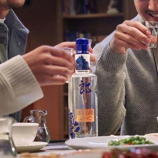 顺品郎蓝顺480浓酱兼香型45度480ml*6(礼盒装） 商品图3