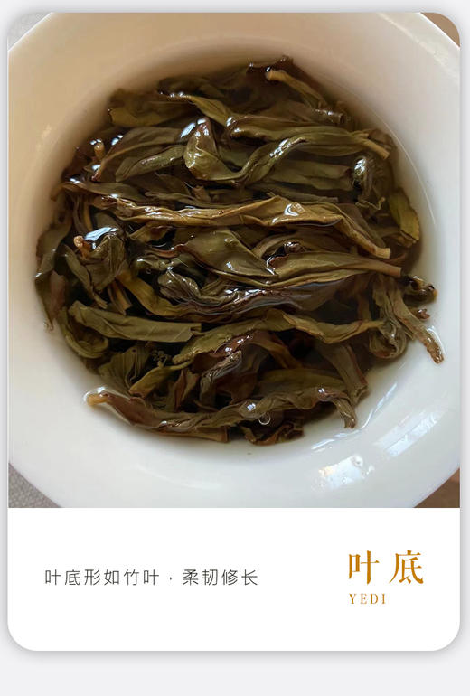 凤凰单枞 | 2024年春茶 宋茶荟 乌岽核心产区 竹叶香100g 商品图4