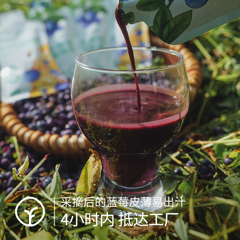 【限时活动:买多更省】小兴安岭 √有机野生蓝莓原浆丨富含花青素 抗氧化，保护视力