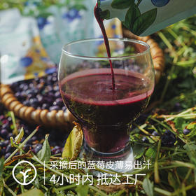 【限时活动:买多更省】小兴安岭 √有机野生蓝莓原浆丨富含花青素 抗氧化，保护视力