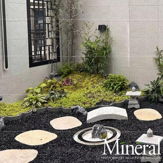 西班牙秋黄汀步 商品图1