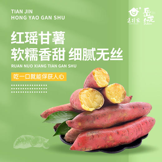 津农精品 莲到家 红瑶红薯伴手礼礼盒软糯香甜 商品图4