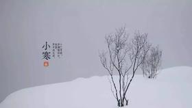  小寒开启特冷模式，这样做，顾肾阳，调情志，健康过年！ 