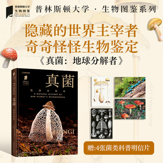 《真zhen菌：地球分解者》 蘑菇图鉴丨《病毒：斗争与平衡》病毒图鉴 “普林斯顿大学生物图鉴”系列 商品图2