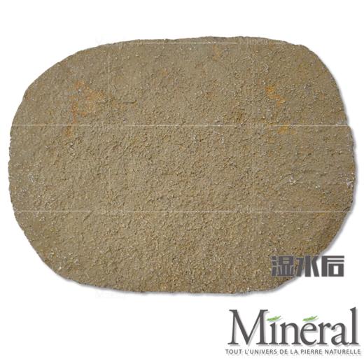 西班牙秋黄汀步 商品图9