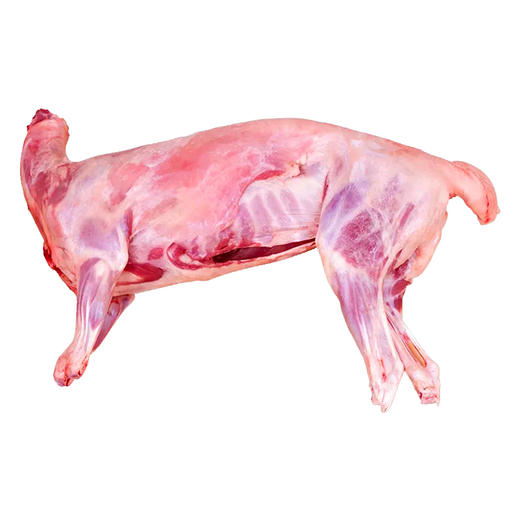 【宁夏盐池滩羊肉】肉质细腻 味道鲜美 食药草 喝泉水 品种稀少 来自中国滩羊之乡！【京东空运】 商品图0