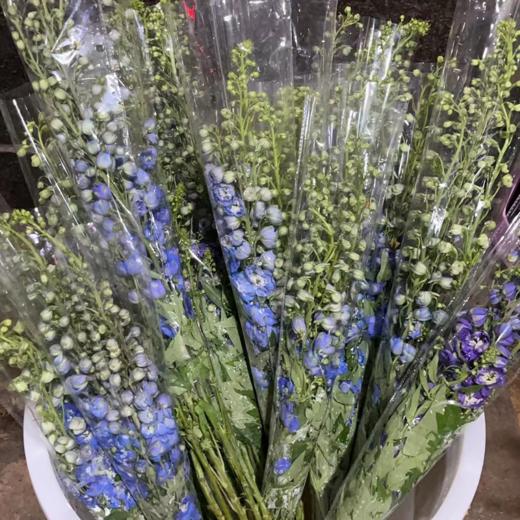 大飞燕  5支/扎 以实物为准 云南基地发货（价格已包含包装费用） 运费以实际为准，多退少补。 商品图2