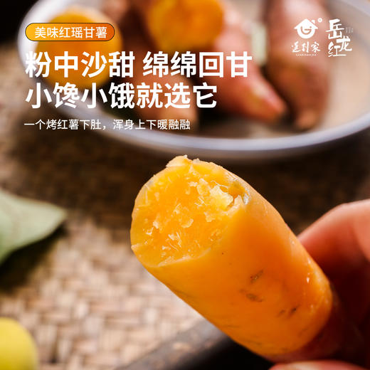 津农精品 莲到家 红瑶红薯伴手礼礼盒软糯香甜 商品图1