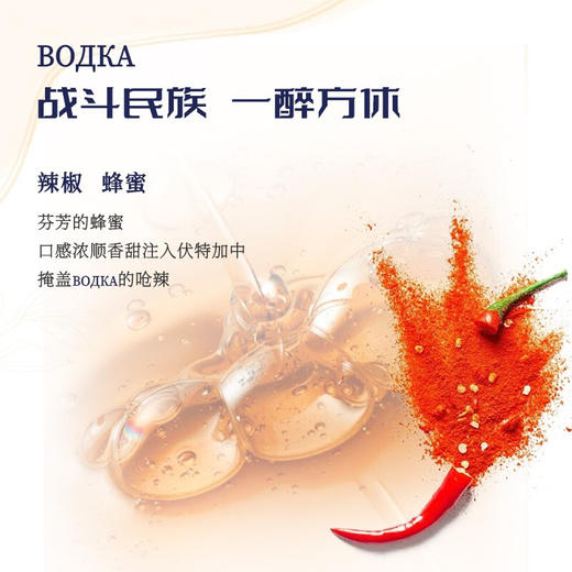 俄罗斯原瓶进口冰星雪原伏特加洋酒40%vol 商品图8