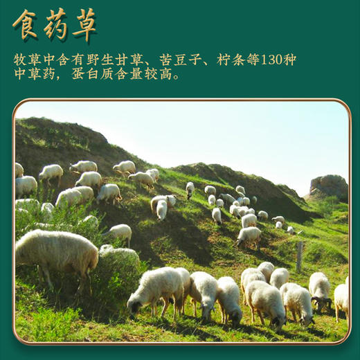 【宁夏盐池滩羊肉】肉质细腻 味道鲜美 食药草 喝泉水 品种稀少 来自中国滩羊之乡！【京东空运】 商品图2