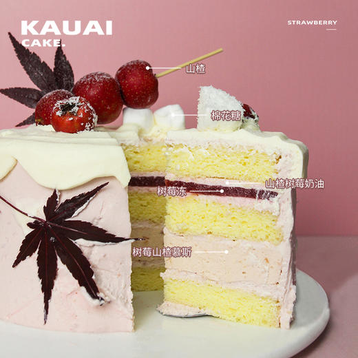 烤爱·生日蛋糕系列·秋之恋·山楂树莓·聚会生日节日【仅限深圳同城配送】 商品图2