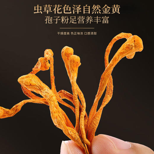 福东海 山珍菌菇礼盒550克 【年货好礼】菌汤包 虫草花鹿茸菇香菇羊肚菌姬松茸特产干货 家庭煲汤滋补春节 商品图8