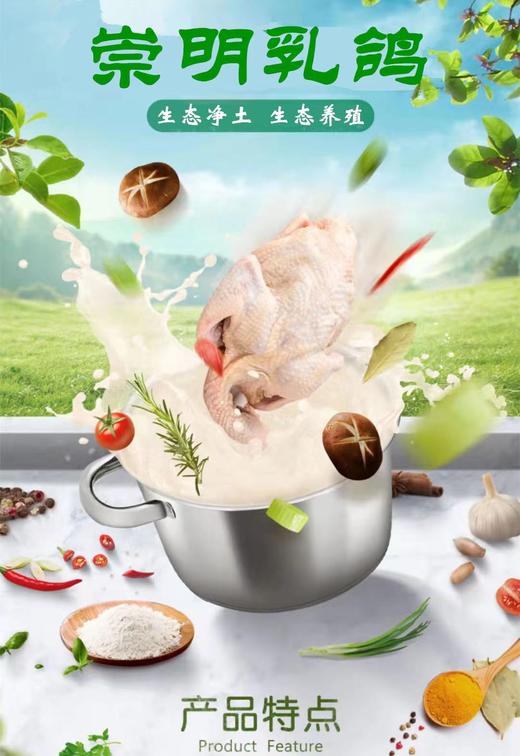 【东滩绿港】崇明乳鸽约0.3kg 净膛冰冻 商品图1