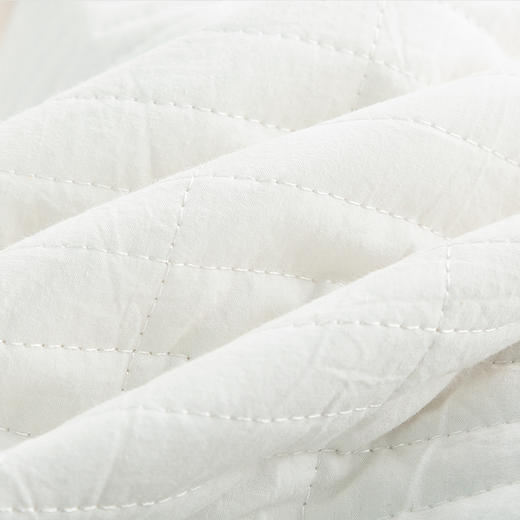 【春上新】10楼 安睡宝 纯荞麦壳复合超细纤维两用枕46*72*3cm 吊牌价699元/只 活动价179元/只 商品图2