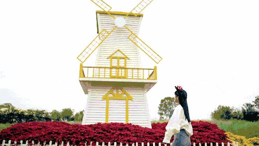 【龙泉驿欢乐田园·奇梦彩灯节】单人夜场特惠票¥39.9、双人夜场特惠票¥69.9，赏灯夜游、看演艺撸萌宠、玩30+游乐项目！ 商品图6