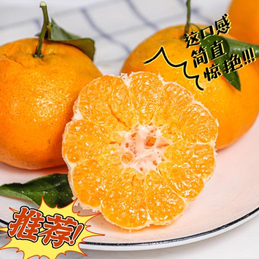 【爆汁耙耙柑】【春节的来客，甜蜜的厚礼  独爱耙耙柑】“果汁炸弹”--春见耙耙柑不会迟到 超高VC 果肉细腻 个大饱满 汁水充足 无籽少渣 春见耙耙柑  如鱼子酱般颗粒分明 轻咬一口  颗颗爆汁 商品图0