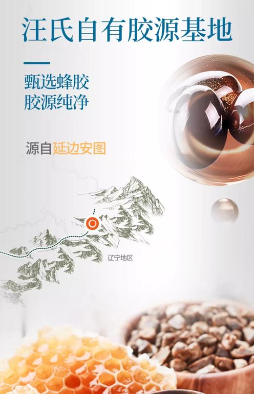 汪氏蜂胶葛根胶囊 商品图3