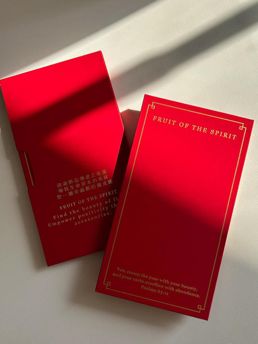 Project Lazarus | TOO COOL 财 福 康 诚 商品图4