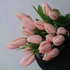 荷兰进口花材水蜜桃郁金香10支 商品缩略图0