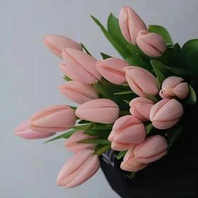 荷兰进口花材水蜜桃郁金香10支