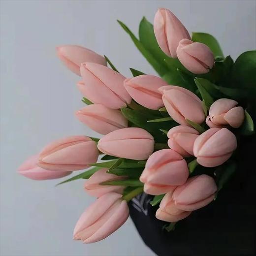 荷兰进口花材水蜜桃郁金香10支 商品图0