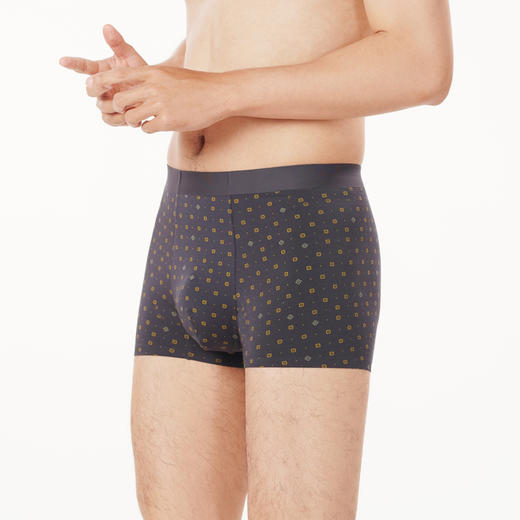 都市丽人都市锋尚铂金舒适内裤男莫代尔男士内裤平角内裤FK44A6 商品图2