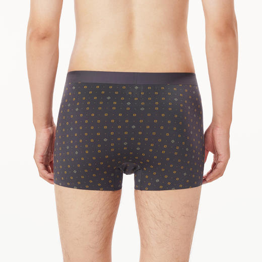 都市丽人都市锋尚铂金舒适内裤男莫代尔男士内裤平角内裤FK44A6 商品图3