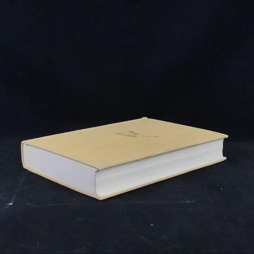 格林童话（卷1） 数十幅彩色插图 精装16开 商品图1