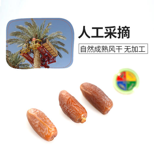 椰枣 软糯 香甜 蔬果昔代替甜味零食 250克/盒【京东快递送货上门】 商品图7