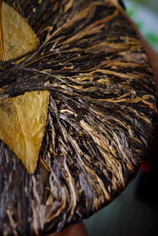 【藤条王】世界上叶片zui大的古树茶！古法采养，匠心制作 商品图2