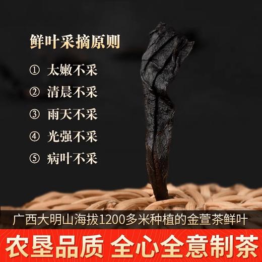 上林县大明山黄金龙乌龙茶125g/袋 商品图3