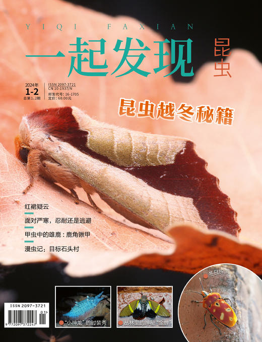 2024年《一起发现》过刊10本一次发出 商品图7