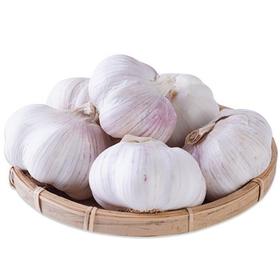 大蒜300g-350g/盒