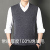 红览羊毛背心男士时尚冬季休闲V领男装无袖打底衫羊毛衫马甲毛衣男ALMQD001 商品缩略图0