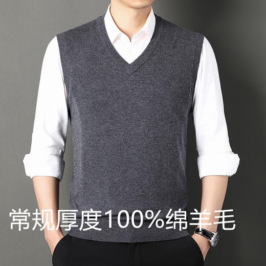 红览羊毛背心男士时尚冬季休闲V领男装无袖打底衫羊毛衫马甲毛衣男ALMQD001 商品图0