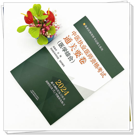 2024年中医执业医师资格考试通关要卷 医学综合笔试 吴春虎 著 中国中医药出版社 中医职业医师考试卷子通关秘卷真题习题集书 商品图1