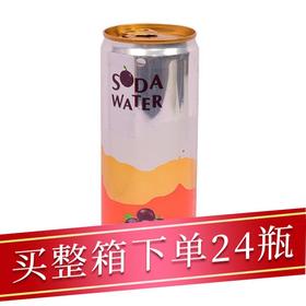 北冰洋百香果味苏打汽水330ml/听