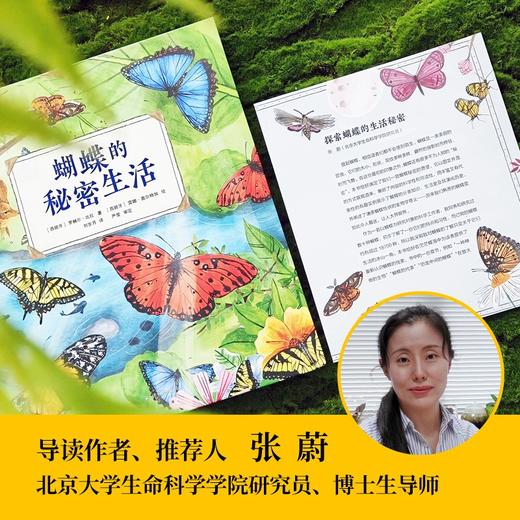 蝴蝶的秘密生活(罗赫尔·比拉 著  刘岁月 译) 商品图2