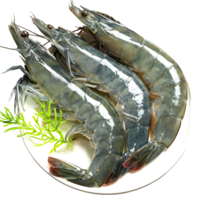 鲜活海虾500g/份